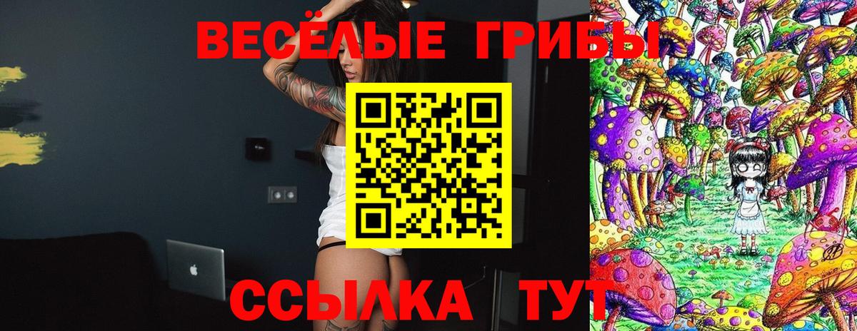 Галлюциногенные грибы Psilocybine cubensis Муром