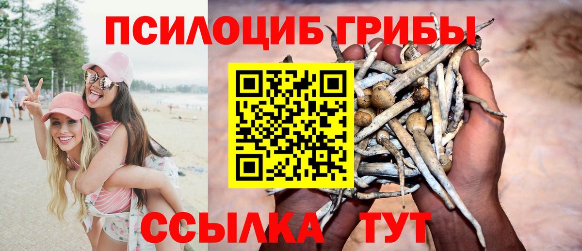 Псилоцибиновые грибы GOLDEN TEACHER  Галлюциногенные грибы мицелий  Вход с VPN  Муром 